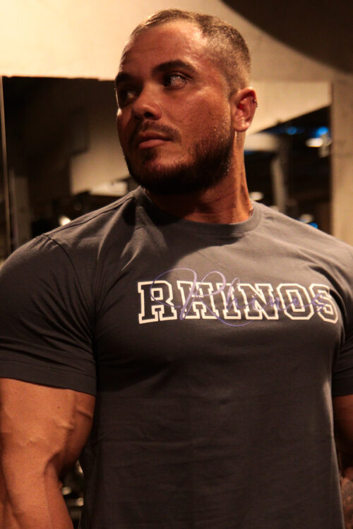 CAMISETA RISING CINZA CHUMBO