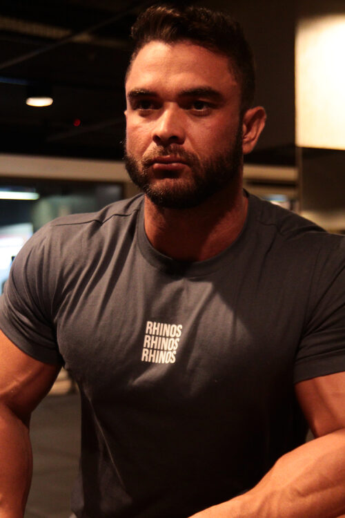 CAMISETA RISING CINZA CHUMBO